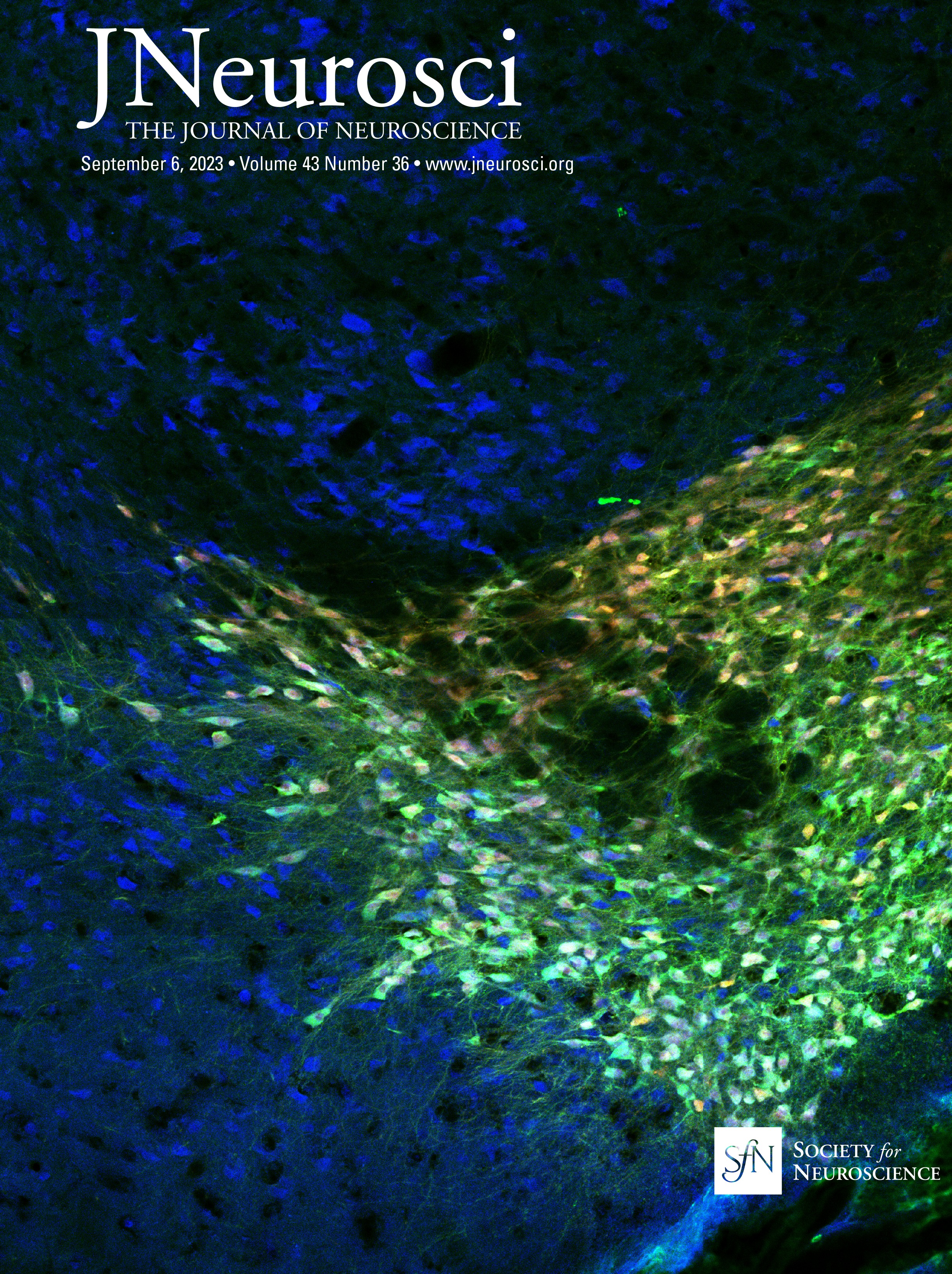 Erratum: Teran et al., "Seizures Cause Prolonged Impairment of Ventilation, CO2 Chemoreception and Thermoregulation"