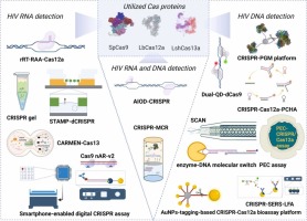 HIV Infection Detection Using CRISPR/Cas Systems: Present and Future Prospects