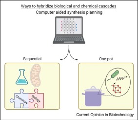 Coupling chemistry and biology for the synthesis of advanced bioproducts