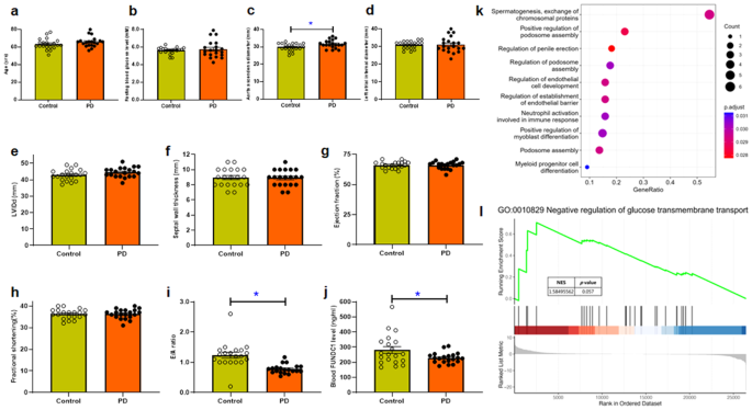 SGLT2 inhibitor empagliflozin alleviates cardiac remodeling and contractile anomalies in a FUNDC1-dependent manner in experimental Parkinson’s disease