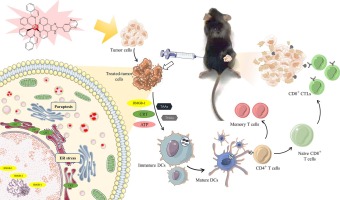 Cyclometalated iridium(III) complexes induce immunogenic cell death in HepG2 cells via paraptosis