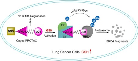 Selective degradation of BRD4 suppresses lung cancer cell proliferation using GSH-responsive PROTAC precursors