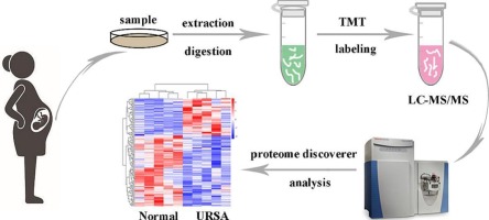 Proteomic profiling analysis of human endometrium in women with unexplained recurrent spontaneous abortion