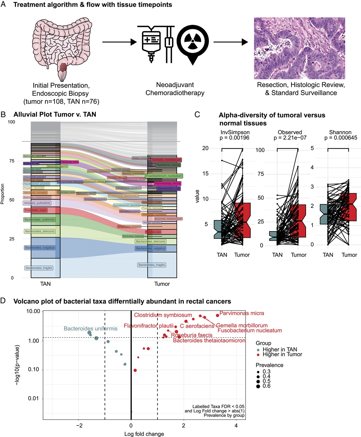 Young-onset Rectal Cancer: Unique Tumoral Microbiome and Correlation With Response to Neoadjuvant Therapy
