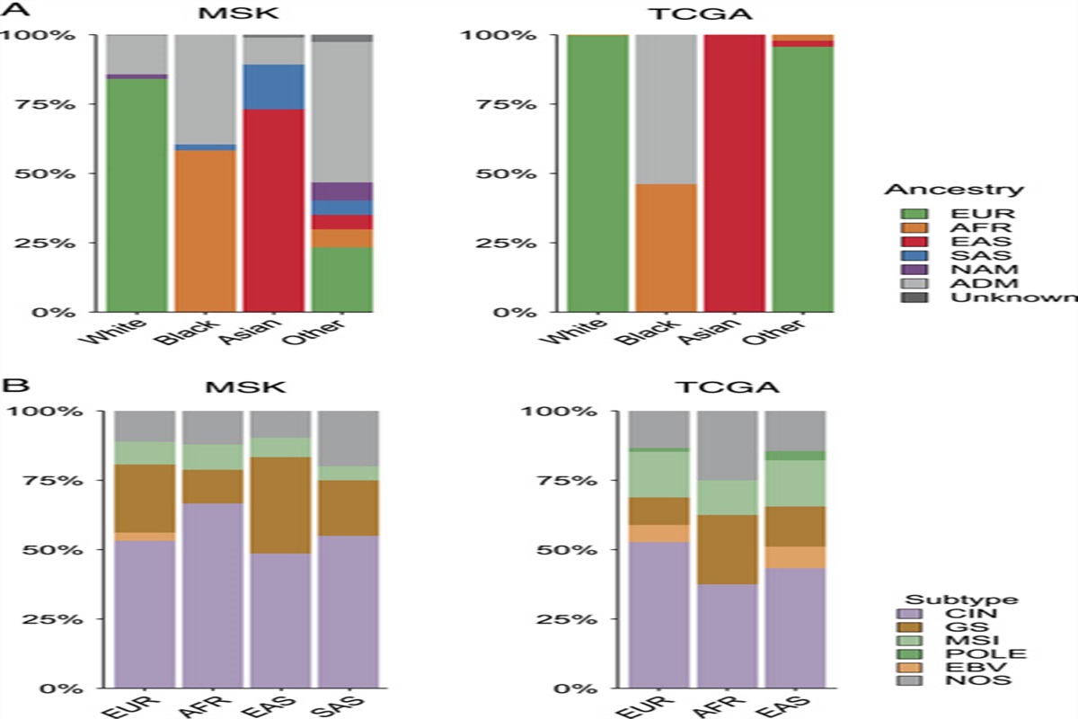 Unique Genomic Alterations and Microbial Profiles Identified in Patients With Gastric Cancer of African, European, and Asian Ancestry: A Novel Path for Precision Oncology
