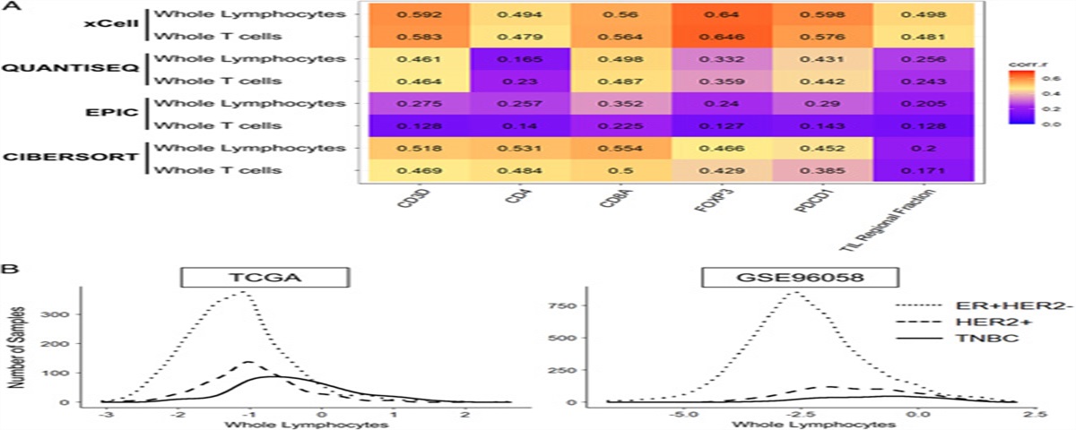 Intratumoral Tumor Infiltrating Lymphocytes (TILs) are Associated With Cell Proliferation and Better Survival But Not Always With Chemotherapy Response in Breast Cancer