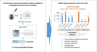 A microRNA profile of the saliva in the argasid ticks Ornithodoros erraticus and Ornithodoros moubata and prediction of specific target genes