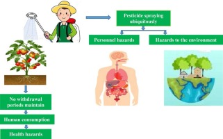 Pesticides in vegetable production in Bangladesh: A systemic review of contamination levels and associated health risks in the last decade