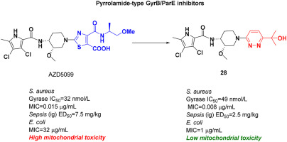 Discovery and druggability evaluation of pyrrolamide-type GyrB/ParE inhibitor against drug-resistant bacterial infection