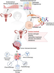 The role and participation of immune cells in the endometrial tumor microenvironment