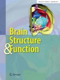Intrinsic neural network dynamics underlying the ability to down-regulate emotions in male perpetrators of intimate partner violence against women