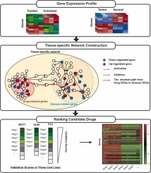 A drug repurposing method based on inhibition effect on gene regulatory network