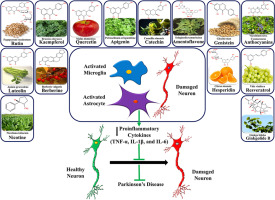 Mitigating neuroinflammation in Parkinson's disease: Exploring the role of proinflammatory cytokines and the potential of phytochemicals as natural therapeutics