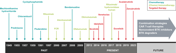Zanubrutinib: past, present, and future