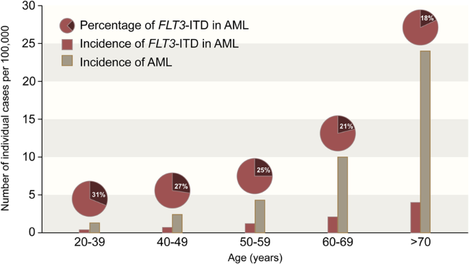 Treatment of older adults with FLT3-mutated AML: Emerging paradigms and the role of frontline FLT3 inhibitors