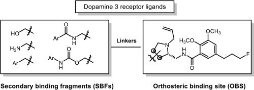 Synthesis of bitopic ligands based on fallypride and evaluation of their affinity and selectivity towards dopamine D2 and D3 receptors