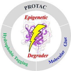 Overview of epigenetic degraders based on PROTAC, molecular glue, and hydrophobic tagging technologies