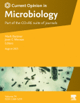 The skin mycobiome and intermicrobial interactions in the cutaneous niche