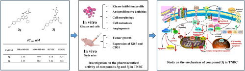 Synthesis and mechanism of action of new purine derivatives against triple negative breast cancer