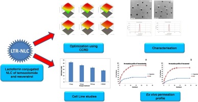 Quality by design engineered, enhanced anticancer activity of temozolomide and resveratrol coloaded NLC and brain targeting via lactoferrin conjugation in treatment of glioblastoma