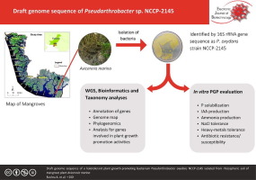 Draft genome sequence of a halotolerant plant growth-promoting bacterium Pseudarthrobacter oxydans NCCP-2145 isolated from rhizospheric soil of mangrove plant Avicennia marina
