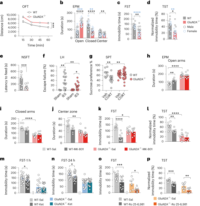 GluN2A mediates ketamine-induced rapid antidepressant-like responses