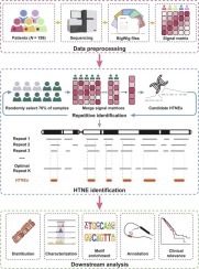 Delineating highly transcribed noncoding elements landscape in breast cancer