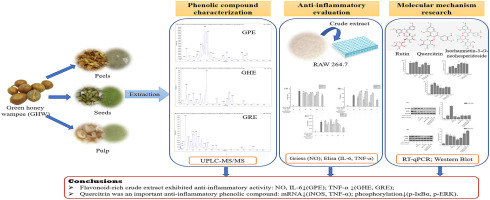 Distribution profiles of phenolic compounds in a cultivar of wampee (Clausena lansium (Lour.) Skeels) fruits and in vitro anti-inflammatory activity