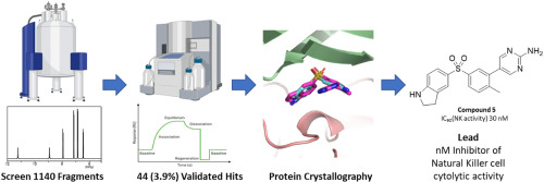 Fragment-based and structure-guided discovery of perforin inhibitors