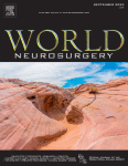 The Efficacy of Endoscopic Third Ventriculostomy for Idiopathic Normal Pressure Hydrocephalus