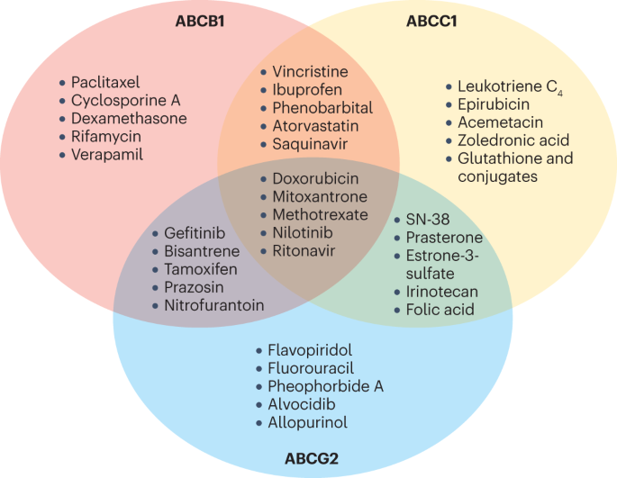 Advances in the structure, mechanism and targeting of chemoresistance-linked ABC transporters