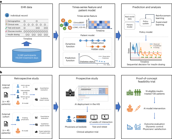 Optimized glycemic control of type 2 diabetes with reinforcement learning: a proof-of-concept trial