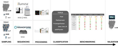 Benchmarking of human Y-chromosomal haplogroup classifiers with whole-genome and whole-exome sequence data