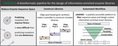LibGENiE – A bioinformatic pipeline for the design of information-enriched enzyme libraries
