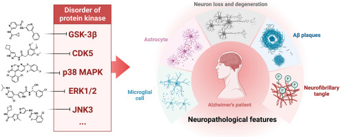 Targeting protein kinases for the treatment of Alzheimer's disease: Recent progress and future perspectives