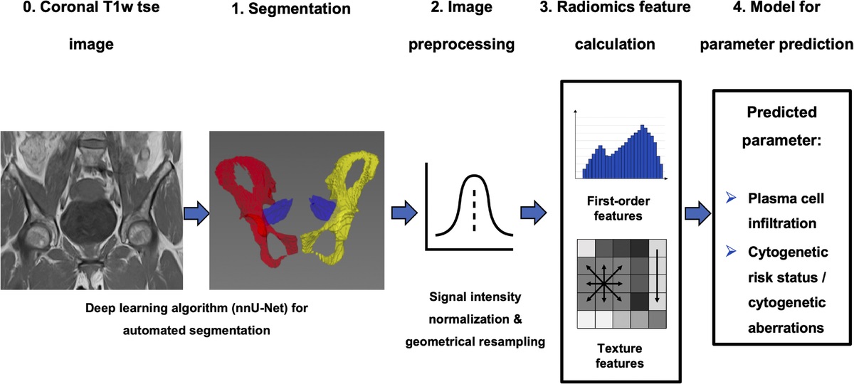 Prediction of Bone Marrow Biopsy Results From MRI in Multiple Myeloma Patients Using Deep Learning and Radiomics