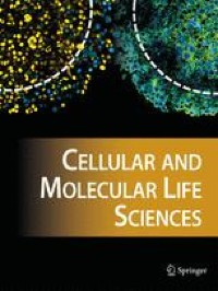 Plant-derived cell-penetrating microprotein α-astratide aM1 targets Akt signaling and alleviates insulin resistance