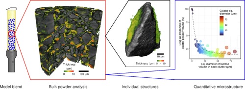 Microstructural insight into inhalation powder blends through correlative multi-scale X-ray computed tomography
