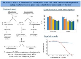 Interactive effects of Pseudomonas entomophila strain 23S and Clavibacter michiganensis subsp. michiganensis on proteome and anti-Cmm compound production