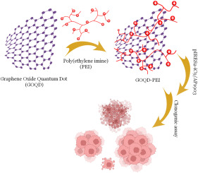 Polyethyleneimine-decorated graphene oxide quantum dot as a carrier for suicide gene delivery to the breast cancer three-dimensional model