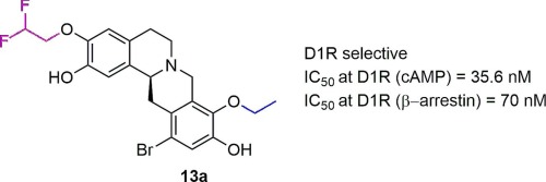 Fluoroalkoxylated C-3 and C-9 (S)-12-bromostepholidine analogues with D1R antagonist activity
