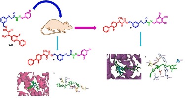 Discovery of (S)-flurbiprofen-based novel azine derivatives as prostaglandin endoperoxide synthase-II inhibitors: Synthesis, in-vivo analgesic, anti-inflammatory activities, and their molecular docking