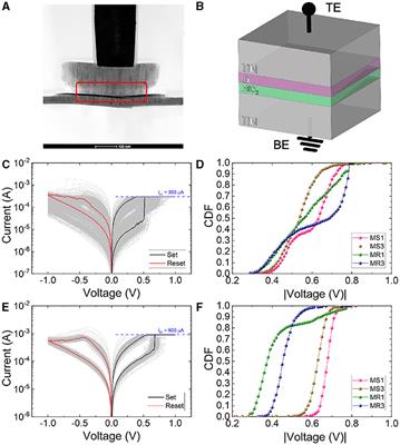TiN/Ti/HfO2/TiN memristive devices for neuromorphic computing: from synaptic plasticity to stochastic resonance