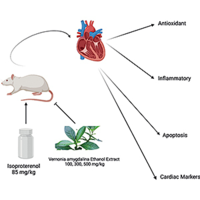 Phytochemical profiling and cardioprotective activity of Vernonia amygdalina ethanol extract (VAEE) against ISO-induced cardiotoxicity in rats