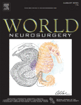 Hybrid Minimally Invasive Endoscopic Approach for Gaseous Protrusion Causing L5 Radiculopathy