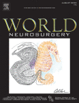 Resection of an Intraventricular Metastatic Tumor with Minimally Invasive Port Technique: 2-Dimensional Operative Video