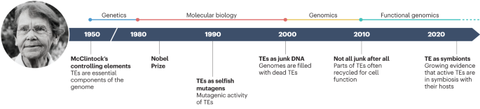Transposable elements: McClintock’s legacy revisited