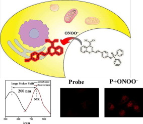 A near-infrared fluorescent probe with remarkably large stokes shift for specifical imaging of peroxynitrite fluctuations in Hela cells