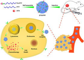 A novel self-assembled nanoplatform based on retrofitting poloxamer 188 for triple-negative breast cancer targeting treatment