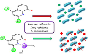 Enhanced antibacterial activity of dimethyl gallium quinolinolates toward drug-resistant Klebsiella pneumoniae in low iron environments